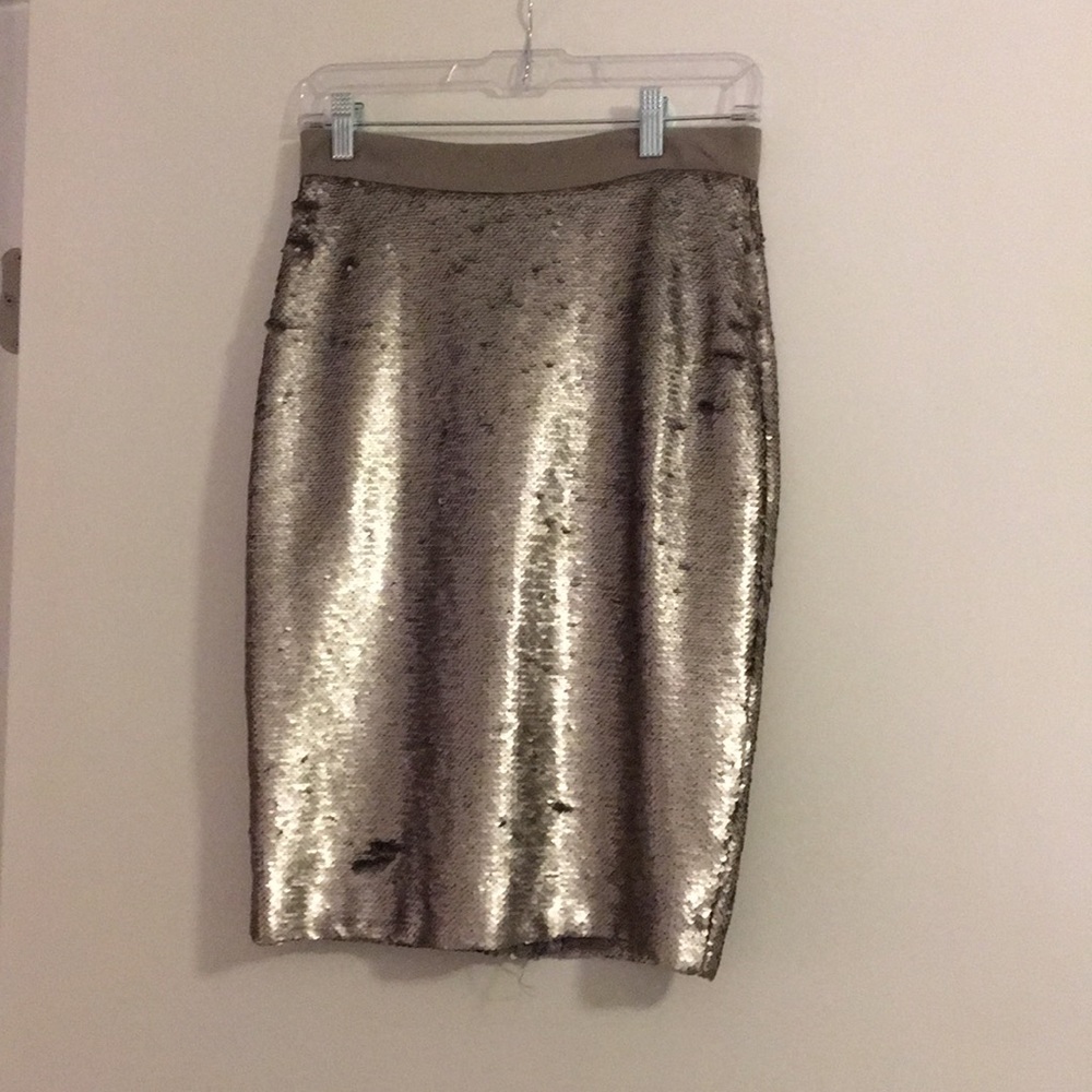 Banana Republic Silver Sequin Skirt 0P